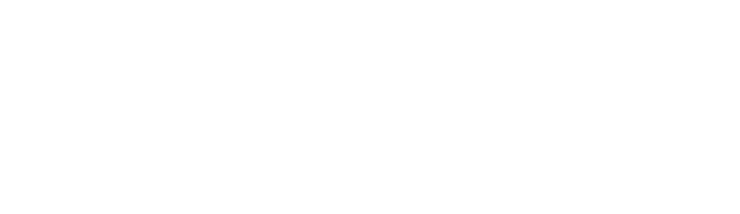 light logo