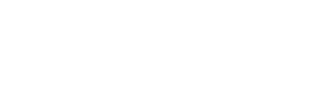 light logo